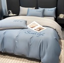 Bleu Gris