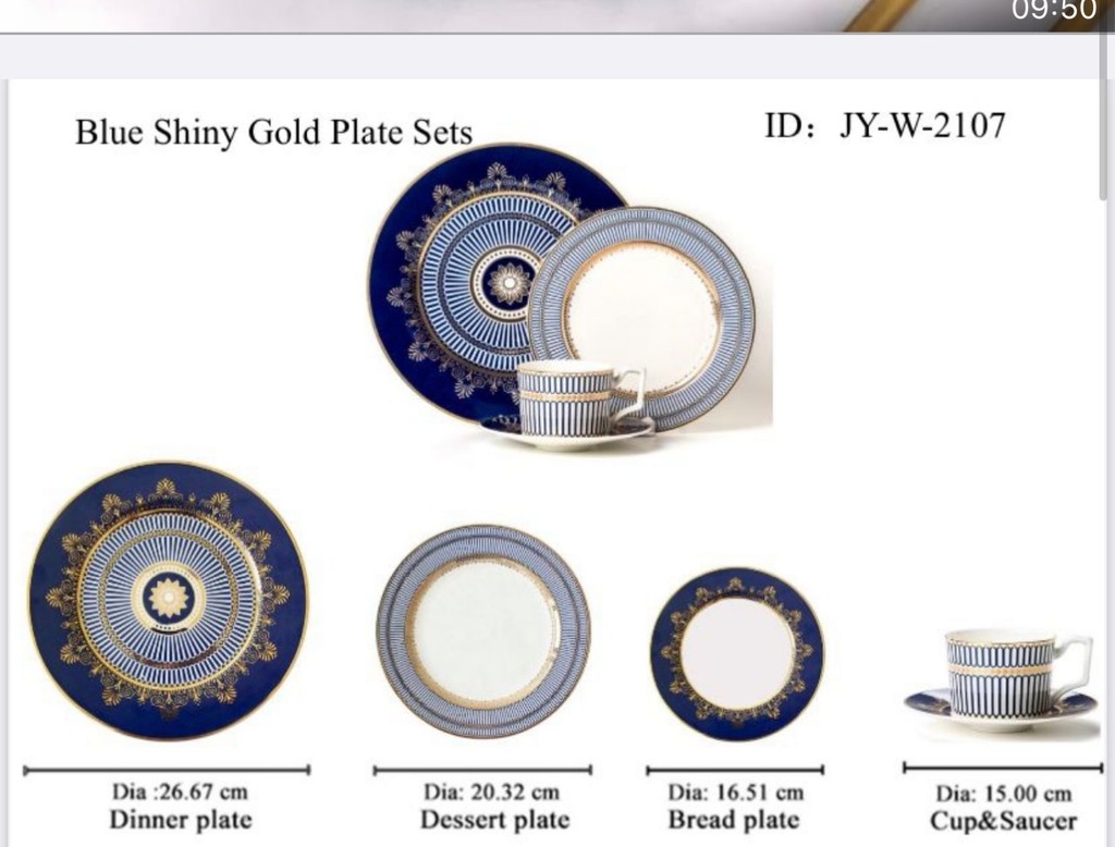 Service Complete 8 personnes  Bone China 40pcs  